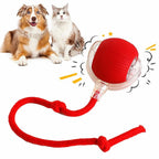 Speedy Tail | Unleash the Chase. Spark the Joy