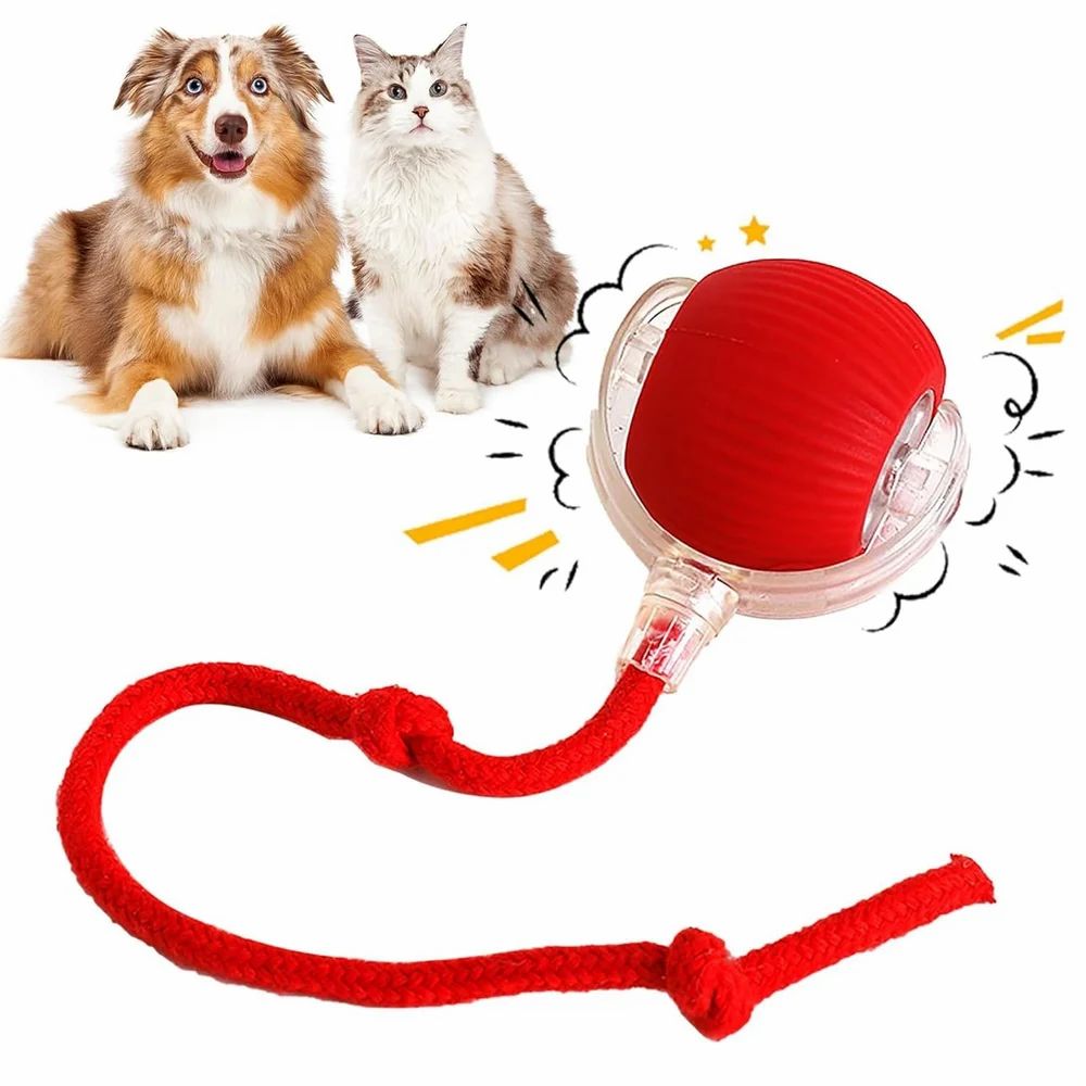 Speedy Tail | Unleash the Chase. Spark the Joy