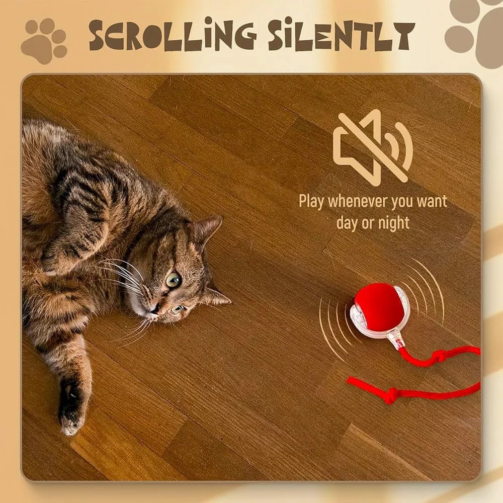 Speedy Tail | Unleash the Chase. Spark the Joy